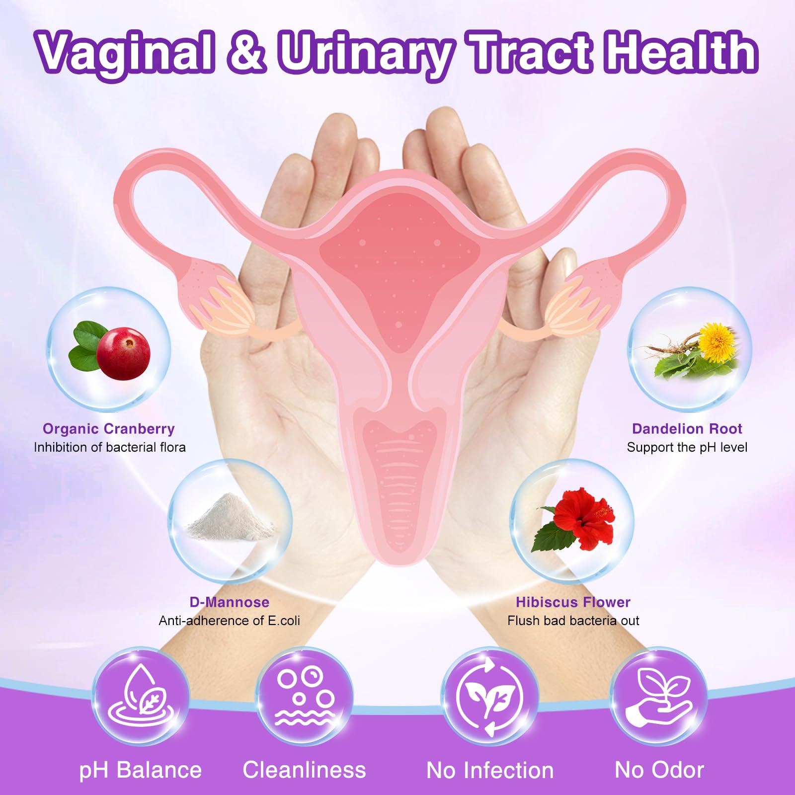 ZEBORA Probiotiques femmes — capsules, favorisent l'équilibre intestinal.
