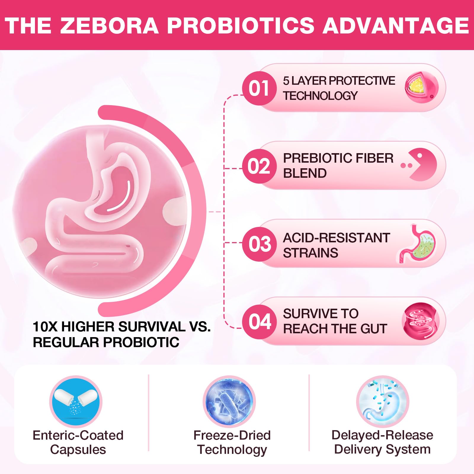 ZEBORA Probiotiques pour Femmes – prébiotiques biologiques, aide à la digestion.