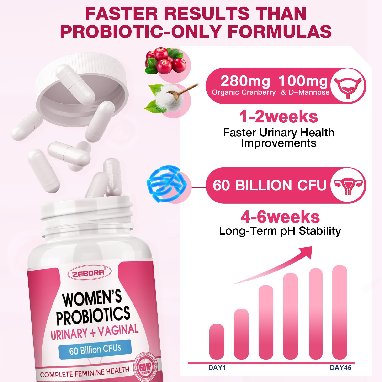 ZEBORA Probiotiques pour Femmes – sans gluten et vegan, composition naturelle.