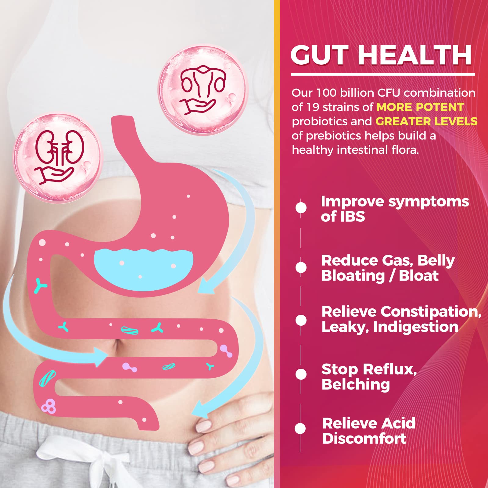 19 souches probiotiques dans Zebora Probiotiques, variété pour le bien-être intestinal.