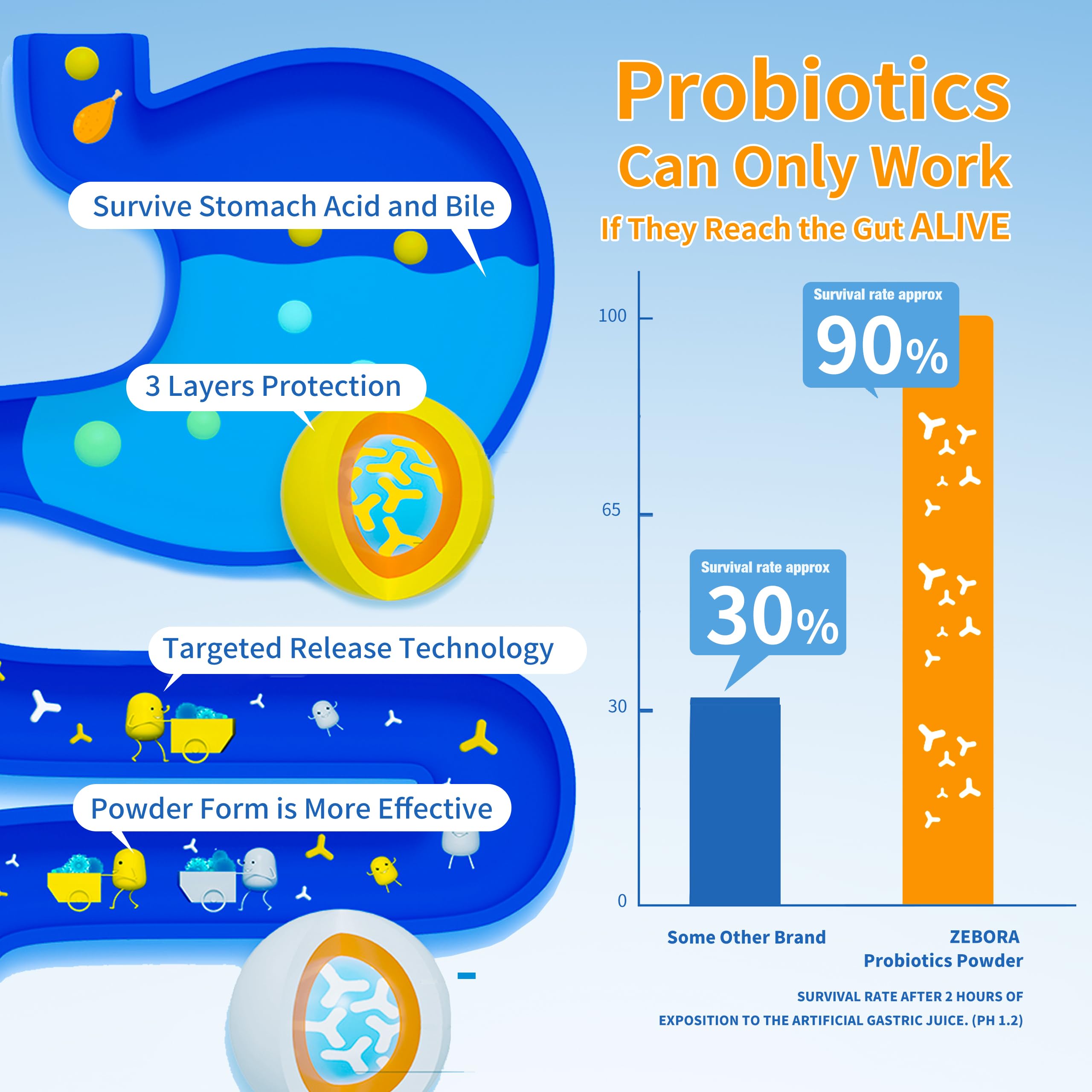 Probiotiques Zebora – sans gluten et sans OGM, option sûre