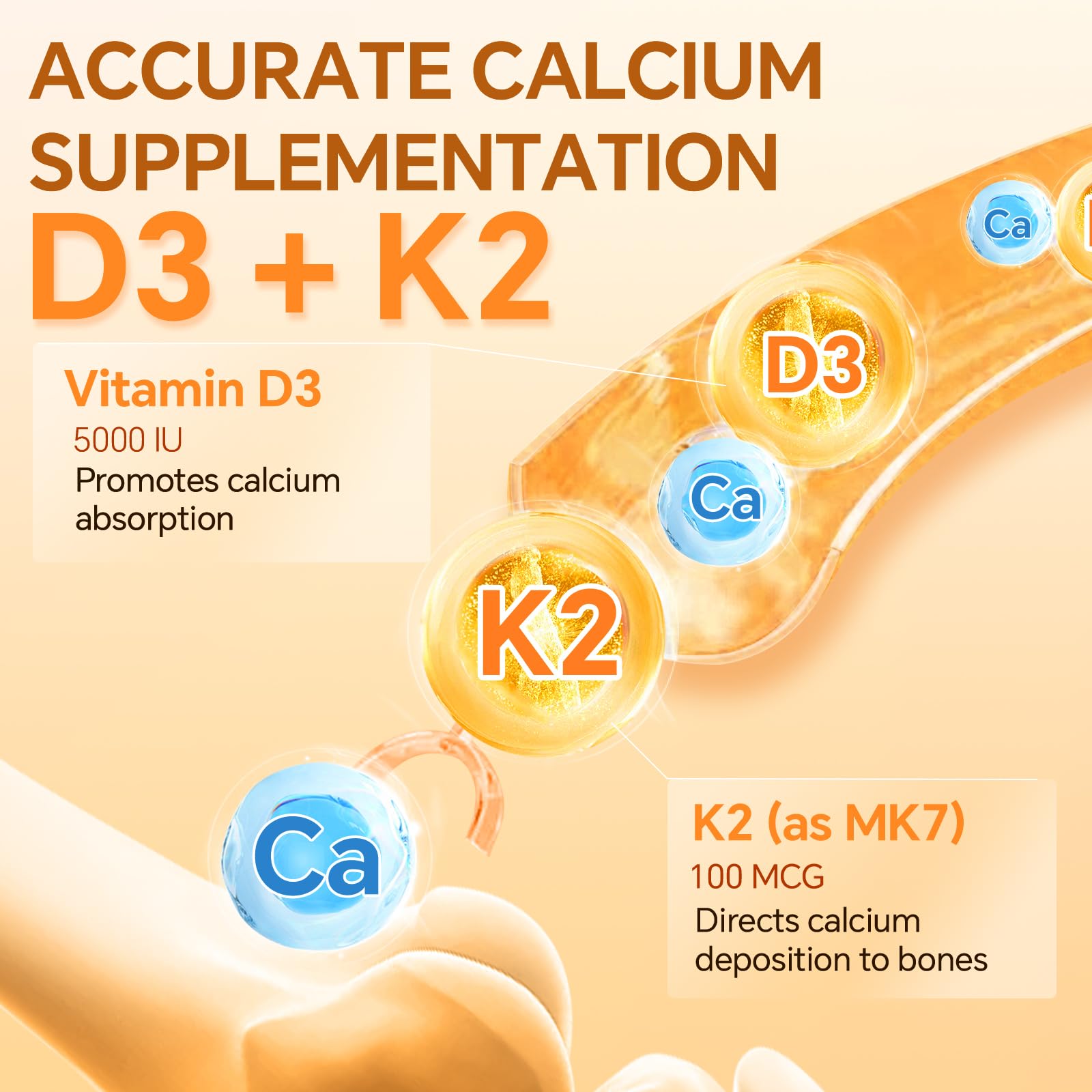 Le duo D3+K2 aide potentiellement l'utilisation du calcium dans les os.