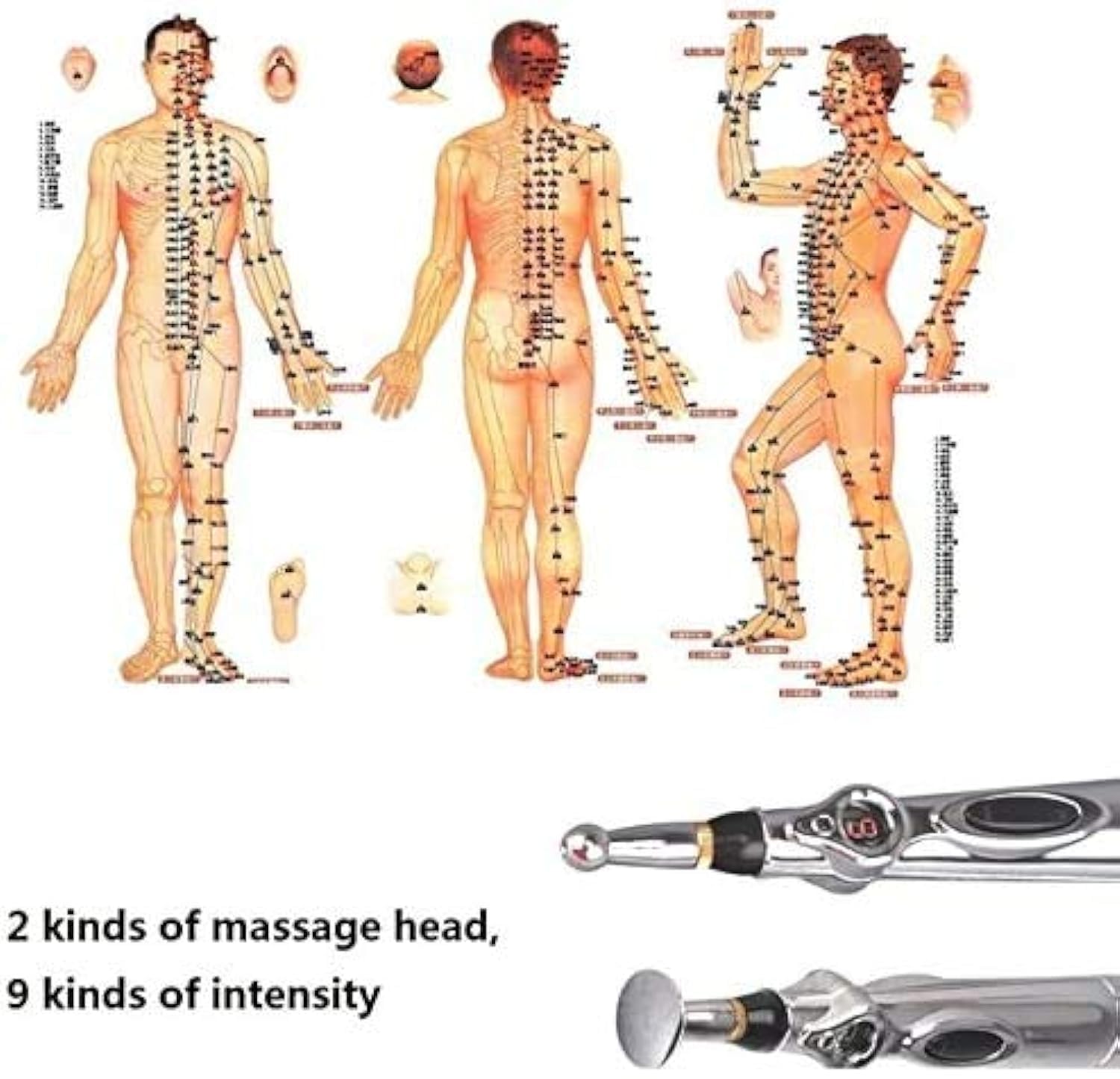 Tête sphéroïdale Zeerkeer Pen pour une action rapide sur les muscles.
