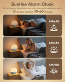 Zelaclock Enceinte Bluetooth : écoutez musique et sons relaxants sans fil.