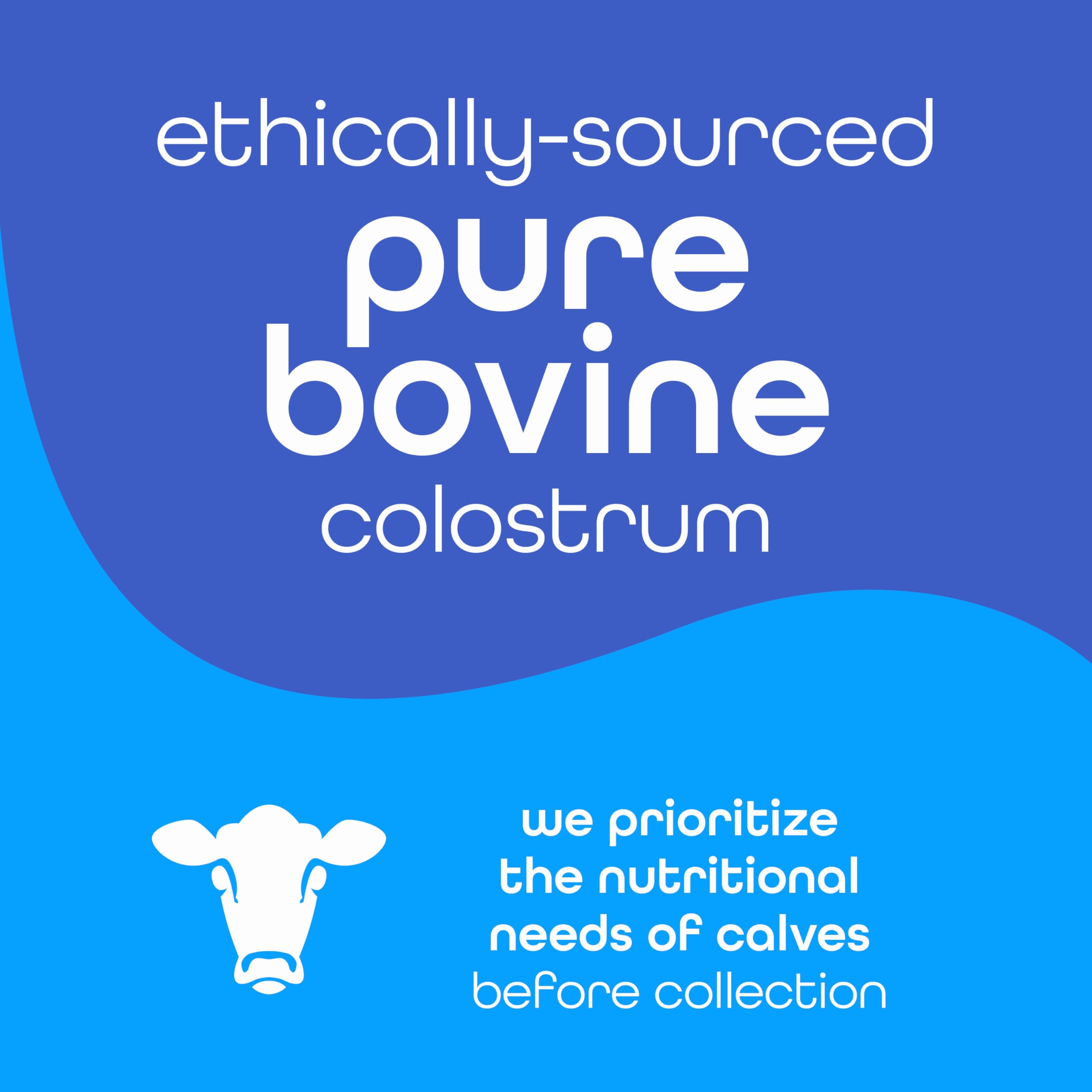 Colostrum Bovin Zena Nutrition — poudre non aromatisée, facile à intégrer sans altérer le goût.