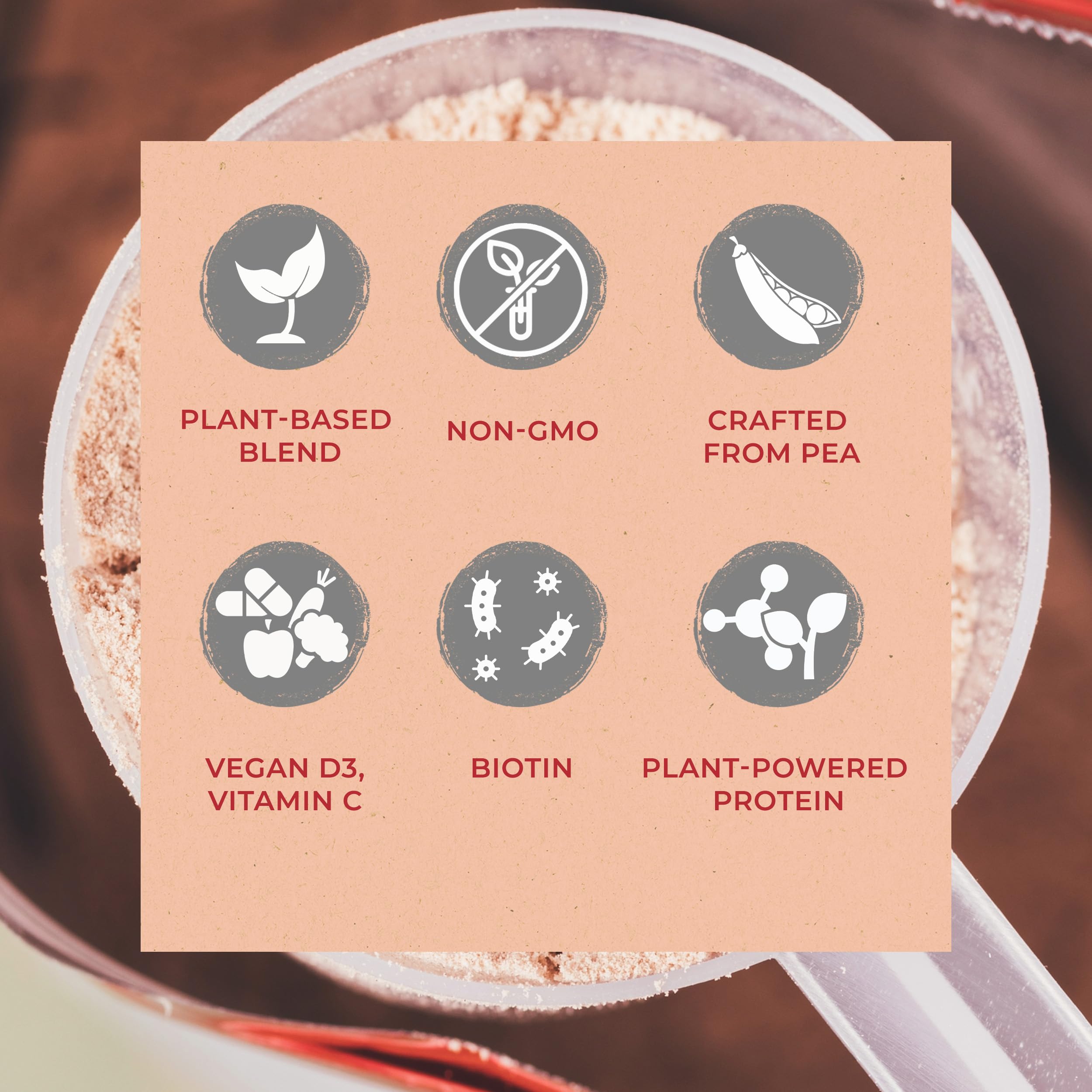 Zenbodi Fuel Étiquette menthe chocolat, informations nutritionnelles claires.