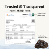 Gommes Zenith Ritual Shilajit Moringa, arôme naturel de sureau.