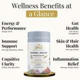 Gommes Zenith Ritual Shilajit Moringa, prise en main rapide en déplacement.