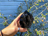 Zenkeeper obsidienne noire: protection psychique et ancrage à la Terre.