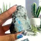 Zenkeeper pierre de lune avec micro-fissures 1 à 2 pouces, iridescence spectaculaire