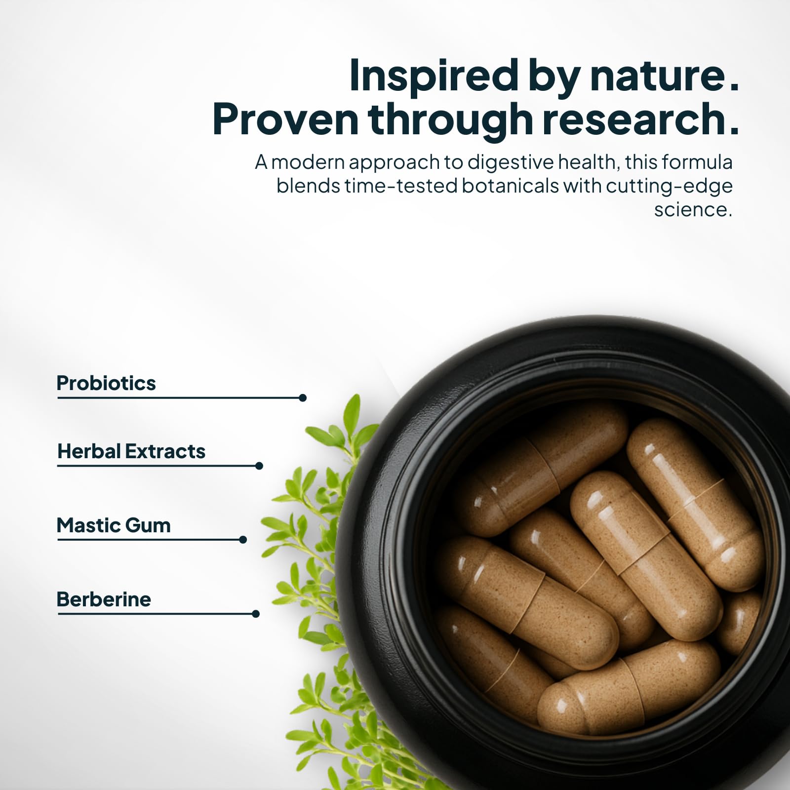 Zenmen H. Pylori Support – certifications sans gluten et sans OGM.