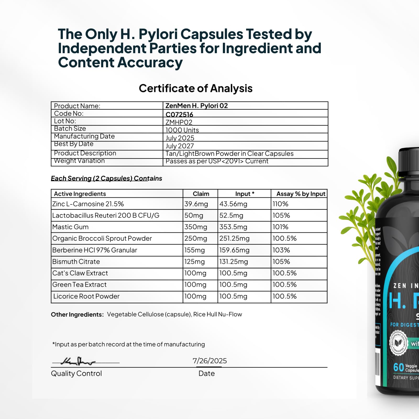 Zenmen H. Pylori Support – liste d'ingrédients détaillée et transparente.