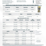 Zenmen H. Pylori Support – base botanique incluant mastic et probiotiques.