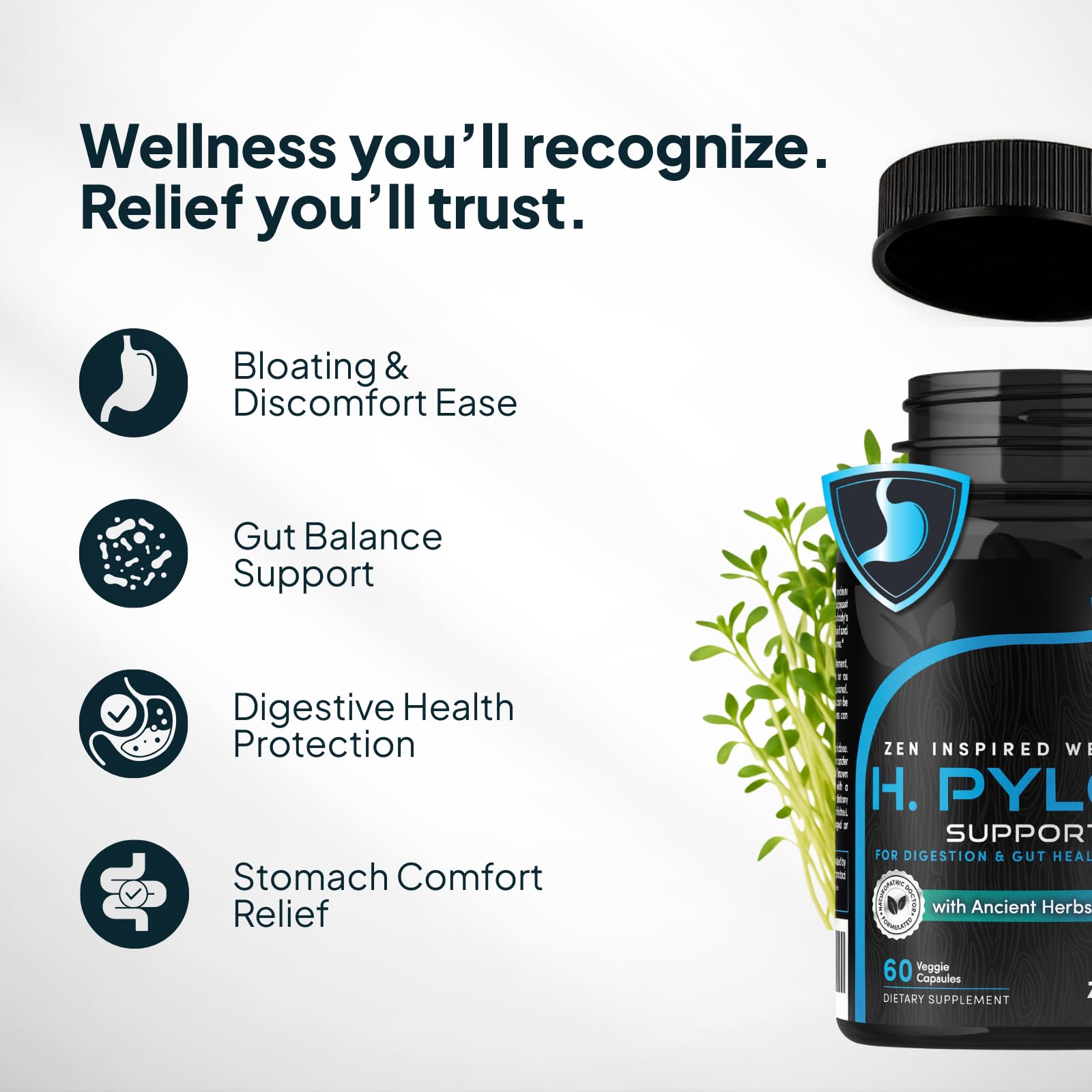 Zenmen H. Pylori Support – emballage affichant garantie satisfaction 90 jours.