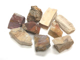 Zentron Crystal Collection – gros plan sur bois petrifie, parfait pour polissage et étude des gemmes