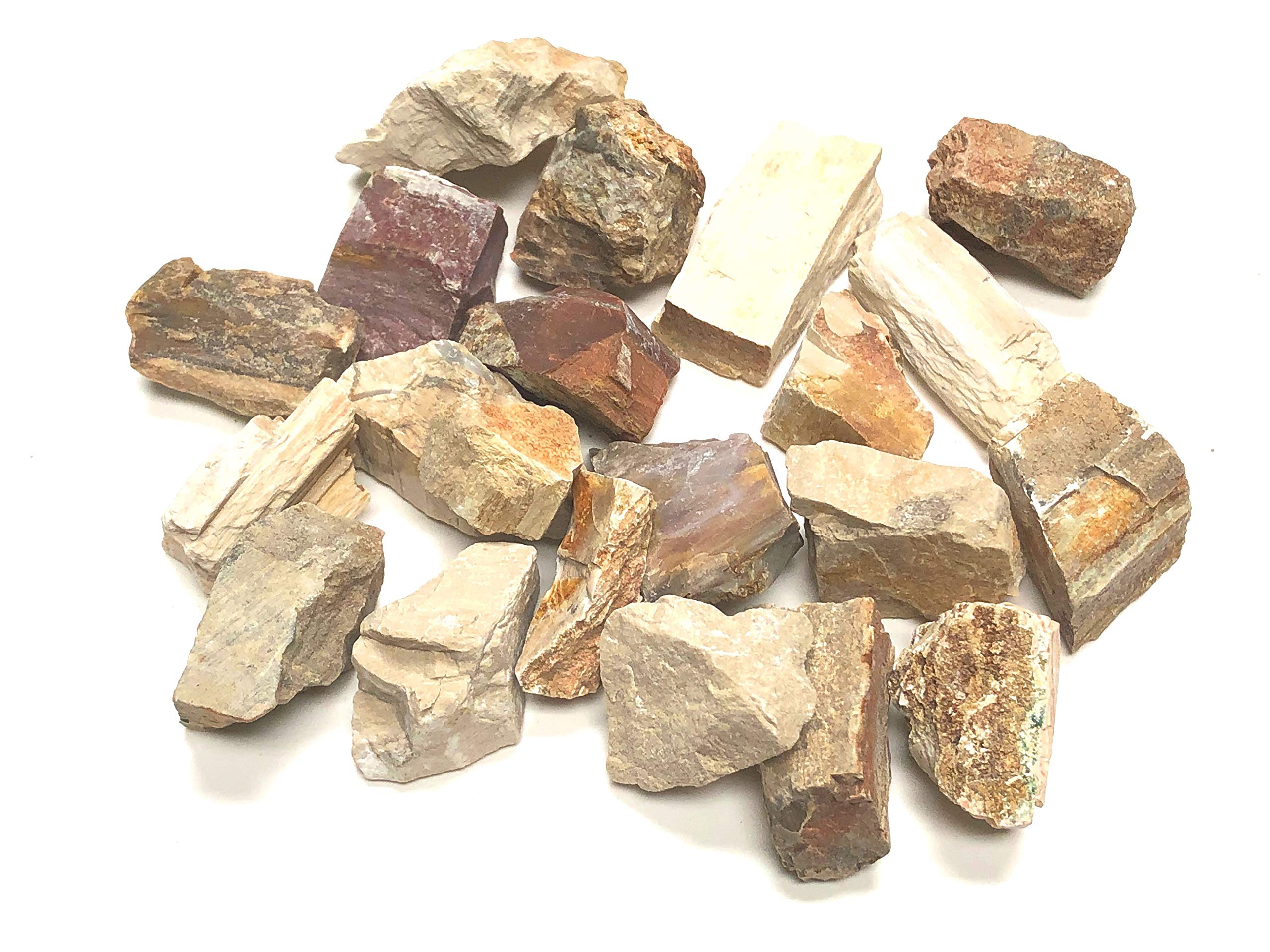 Zentron Crystal Collection – morceaux bois petrifie 1 pouce, idéal pour cablage et décoration