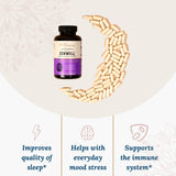 ZenWell Bouteille : relaxation et stress potentiels pour le quotidien.