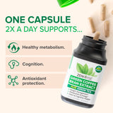 Zenwise Health: gros plan sur les capsules et polyphénols EGCG.