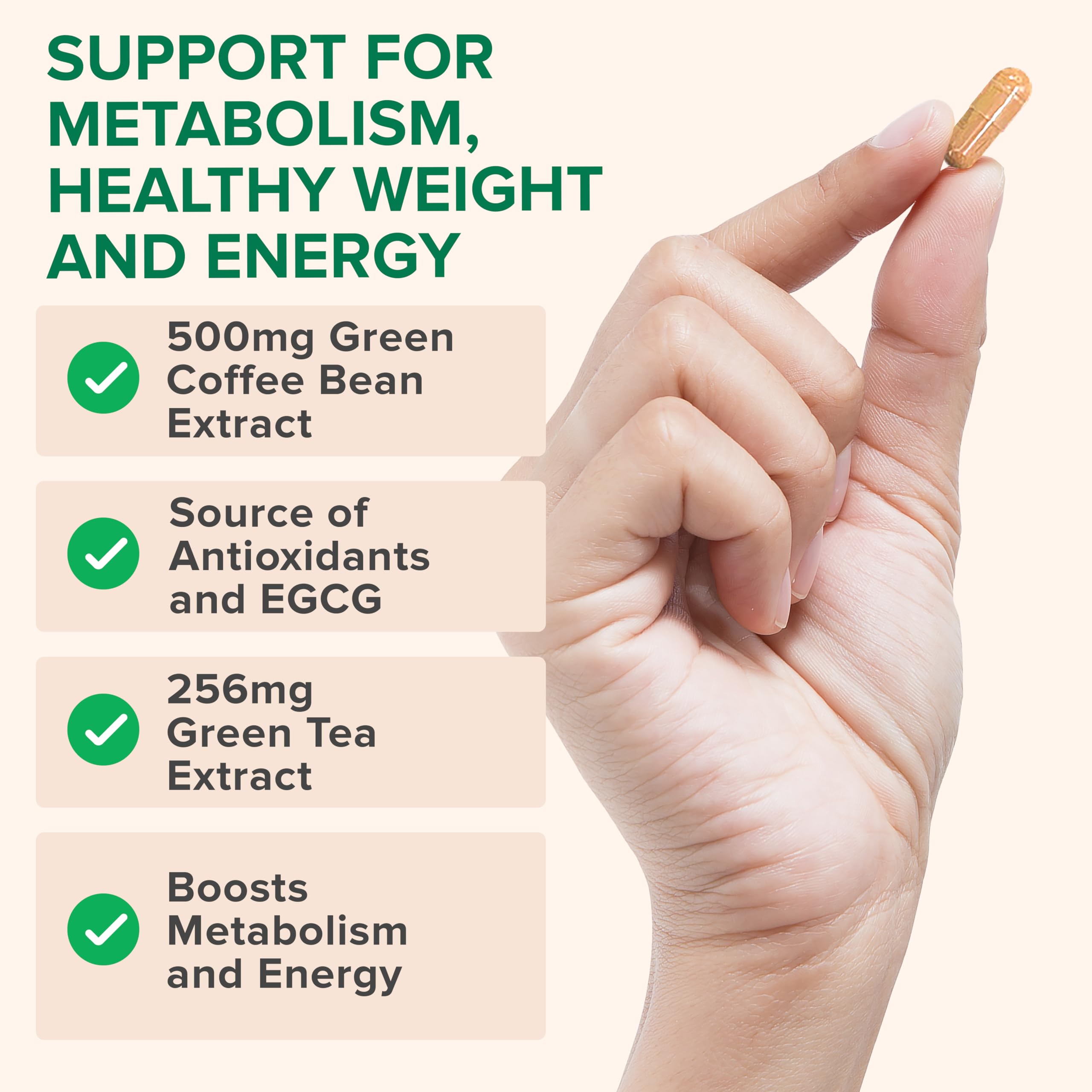 Zenwise Health: capsule et boîte de gélules pour la routine santé.