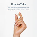 Zenwise, utilisation quotidienne pour une digestion agréable.