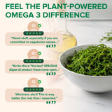 Zenwise Health Oméga-3 végan : dosage quotidien, deux gélules avec repas.