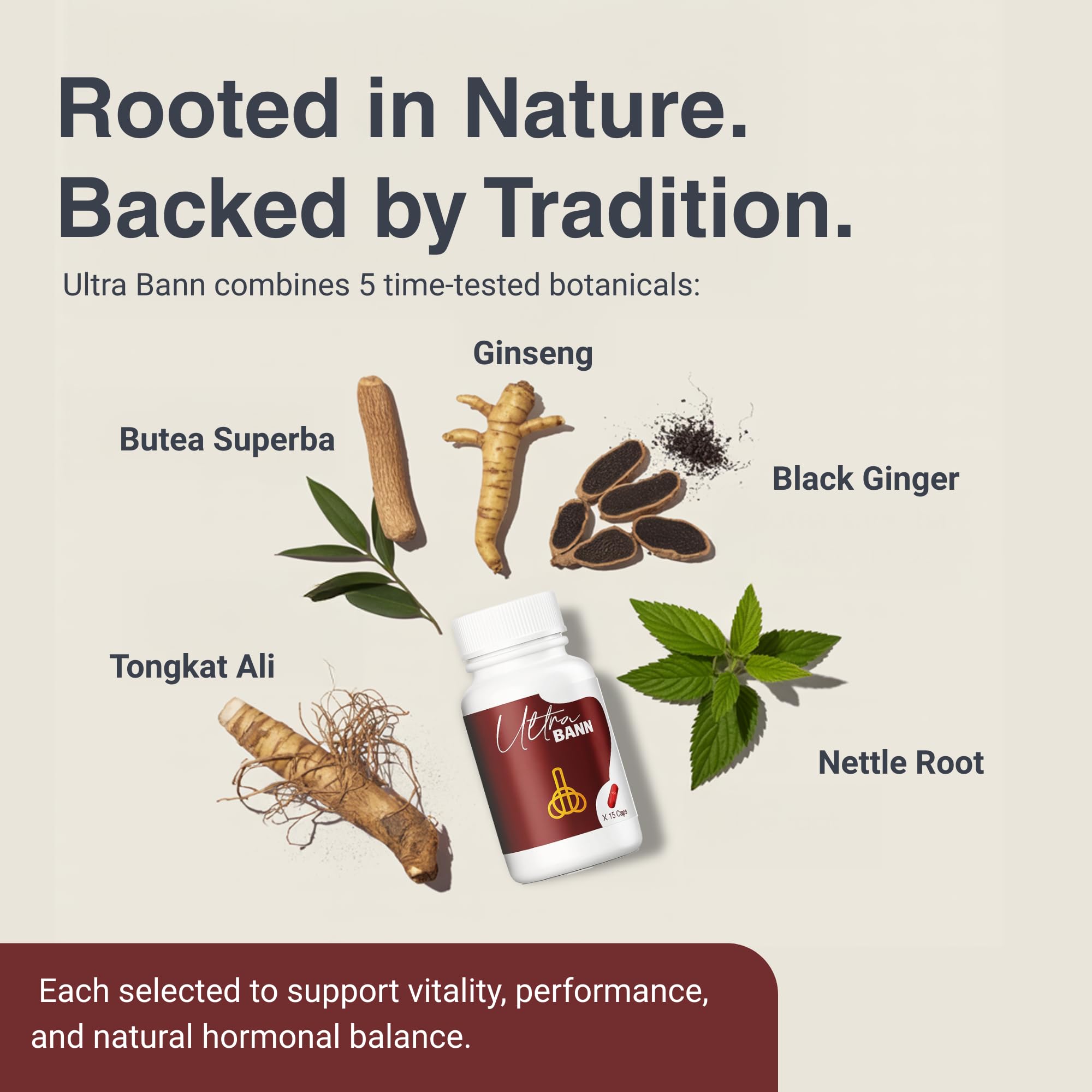 Zest Of Moringa Ultra Bann – herbes traditionnelles pour le soutien de l'énergie.
