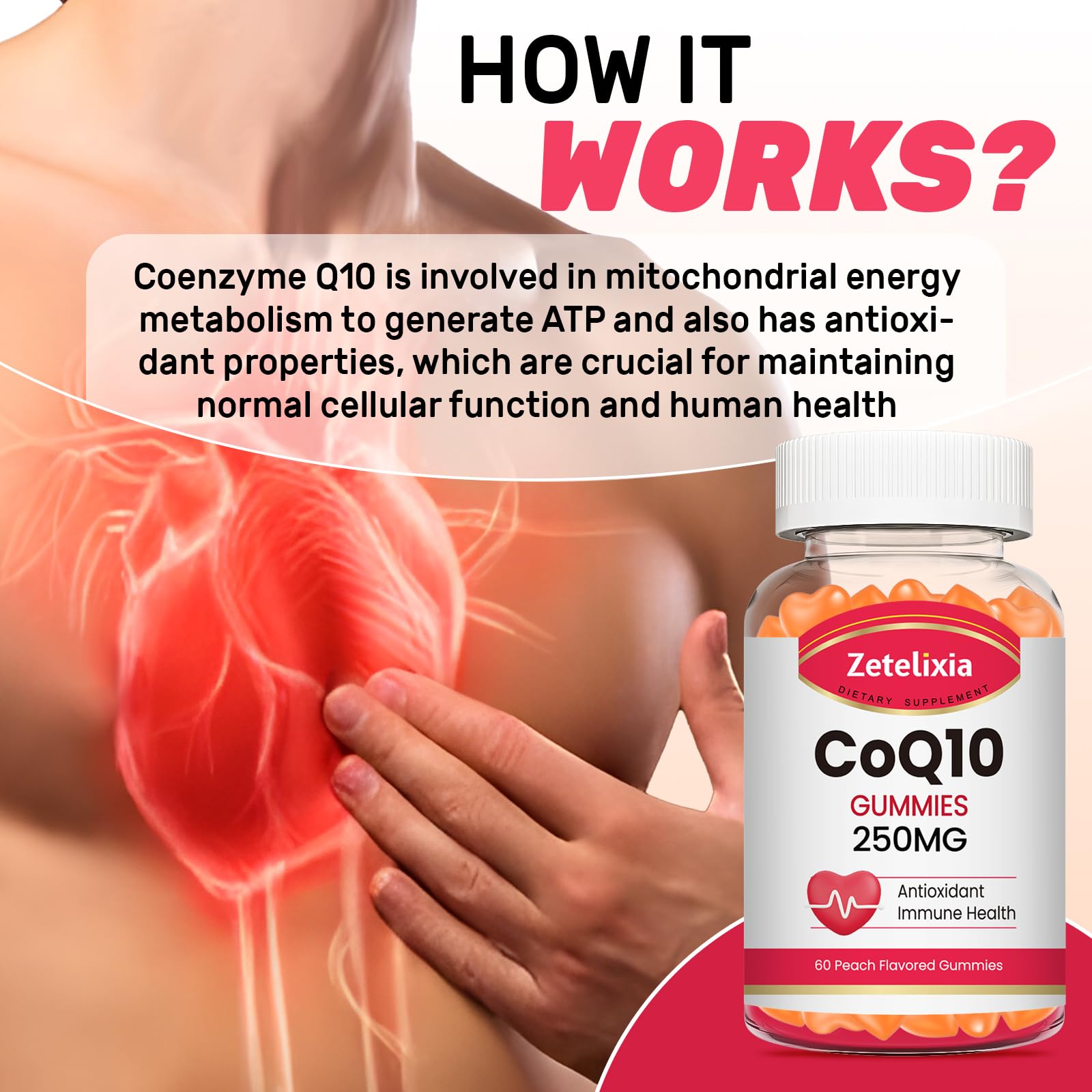 Gommes Zetelixia CoQ10 en gros plan, texture douce et appétente.