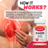 Gommes Zetelixia CoQ10 en gros plan, texture douce et appétente.