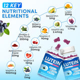 Gommes sans sucre Zetelixia Luteïne, texture facile à mâcher.