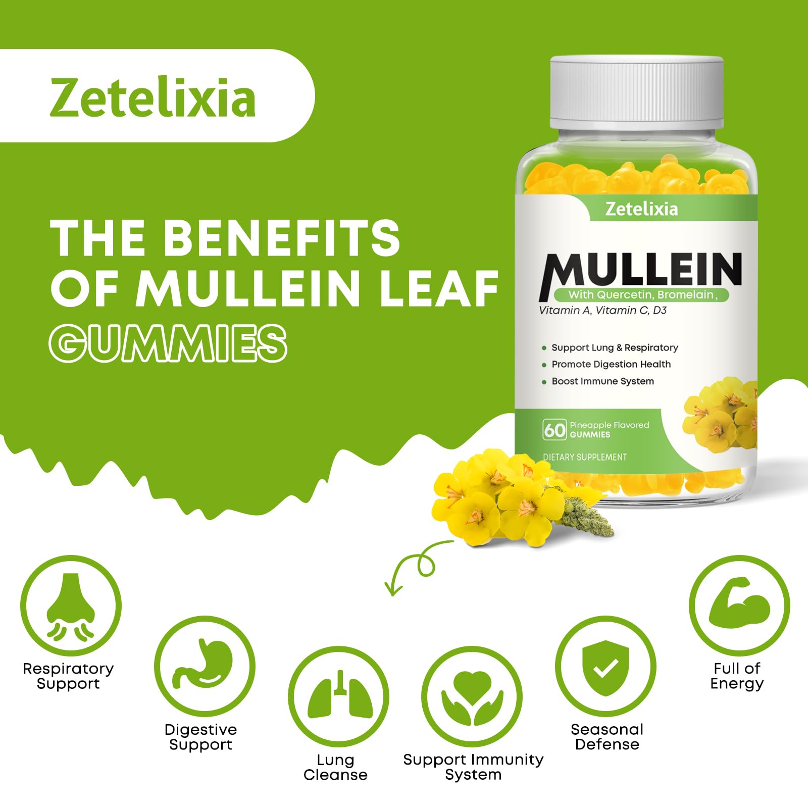 Gommes Zetelixia Bouillon Blanc – respiration plus libre après usage régulier.