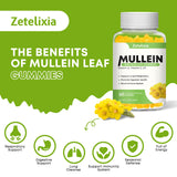 Gommes Zetelixia Bouillon Blanc – respiration plus libre après usage régulier.