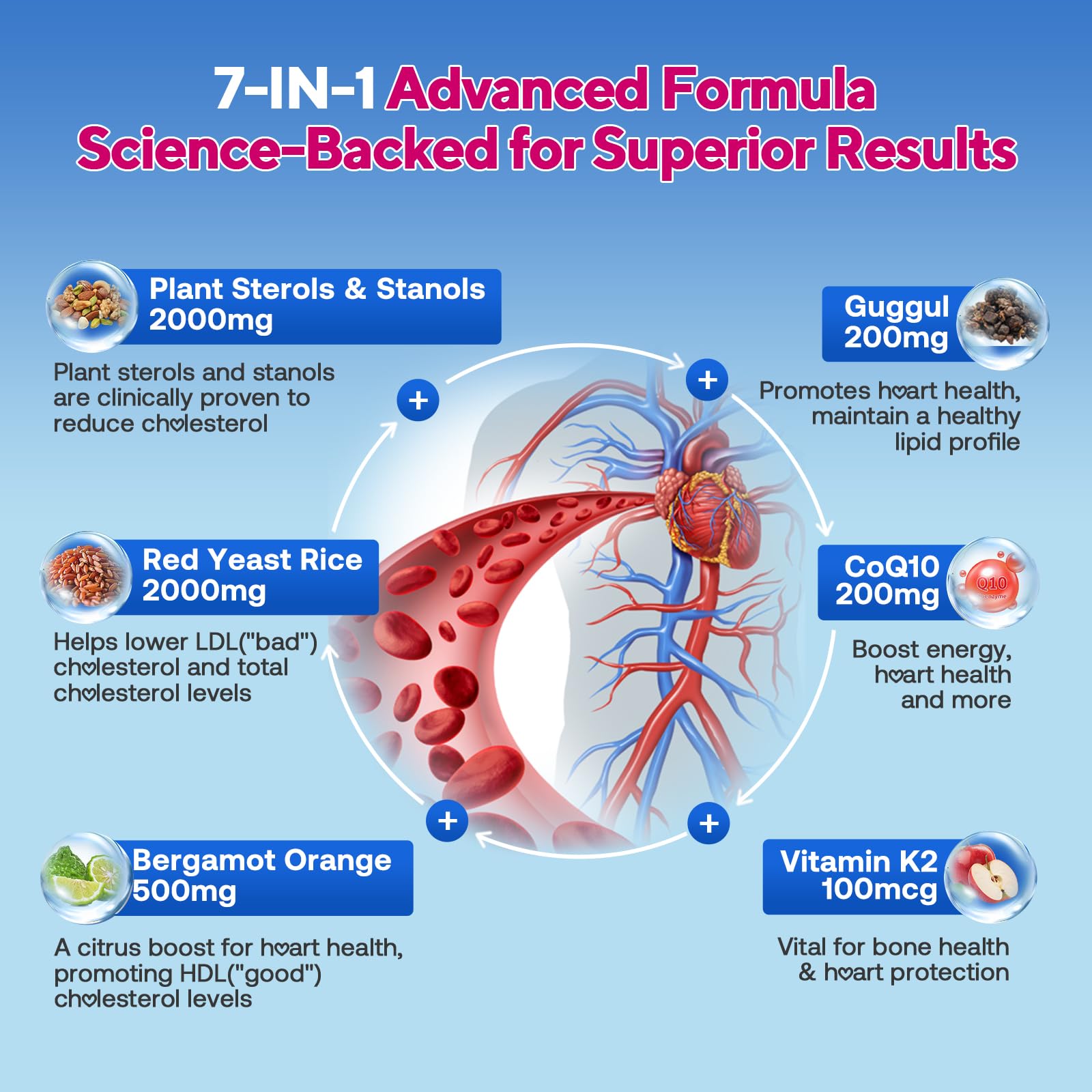 Étiquette Zetelixia Cholesterol, lisible et utile pour une utilisation quotidienne.