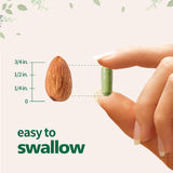 Zhibenon Moringa – formule sans additifs pour une expérience naturelle.