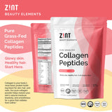 Zint Collagène Peptides — formule Type I & III pour l’élasticité des tissus