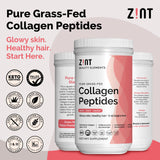 Cuillère-doseur Zint Collagen Peptides XL pour mesurer rapidement la portion.