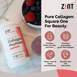 Mélange Zint Collagen Peptides XL dans eau chaude, goût neutre.