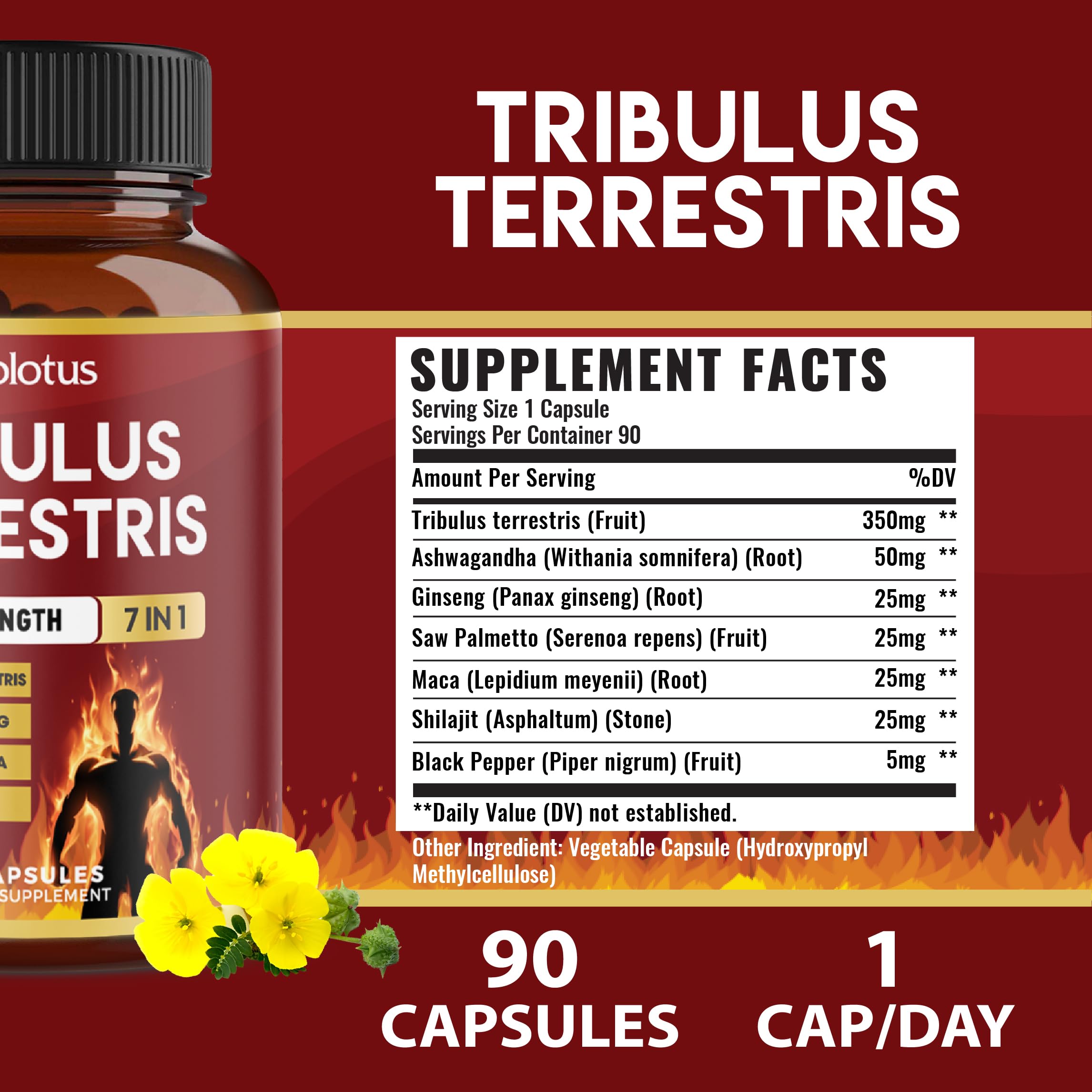 Bouteille Zolotus de 90 capsules prête pour une routine de trois mois.