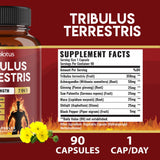 Bouteille Zolotus de 90 capsules prête pour une routine de trois mois.