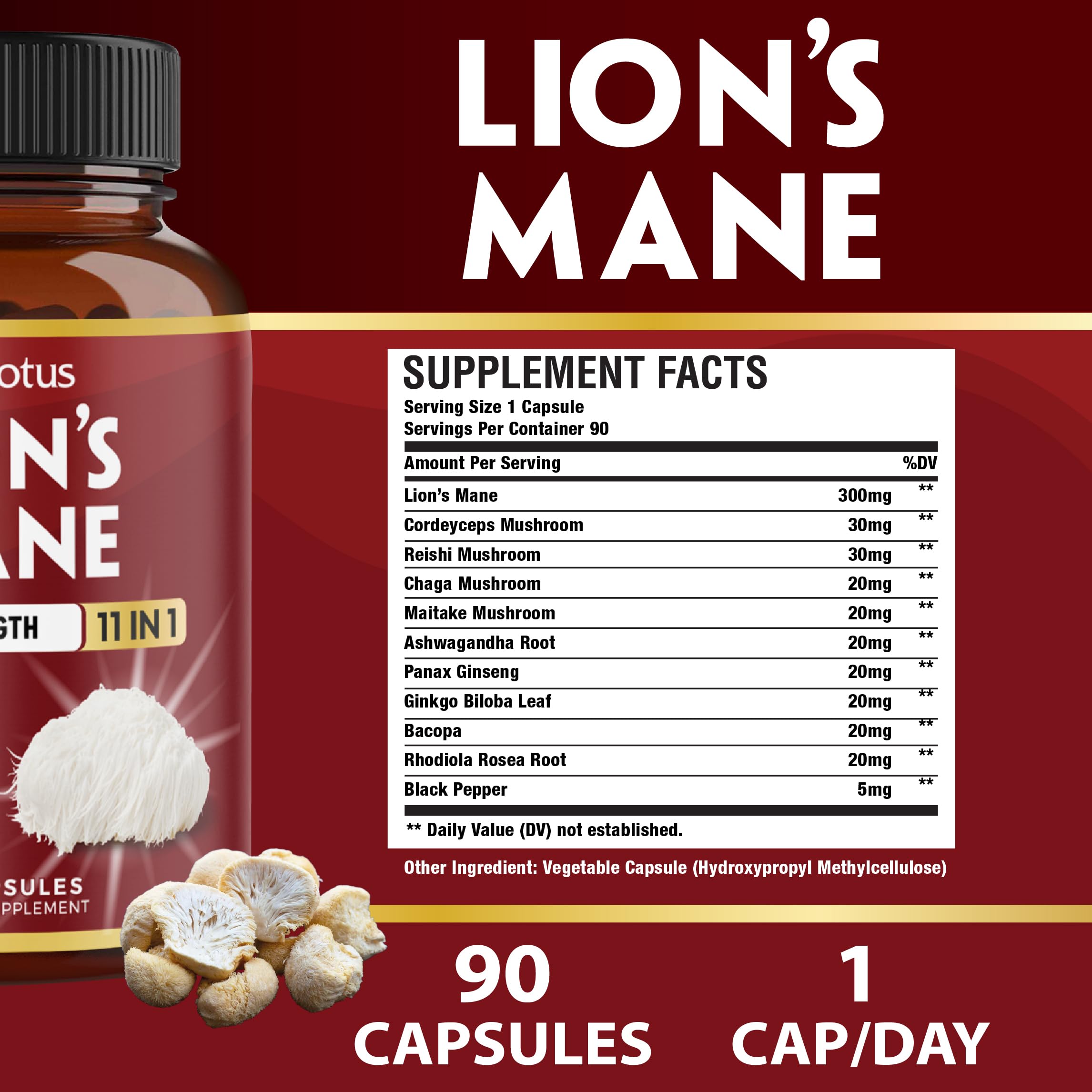 Zolotus – capsules champignon crinière de lion en gros plan, texture naturelle pour usage quotidien.