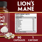 Zolotus – capsules champignon crinière de lion en gros plan, texture naturelle pour usage quotidien.