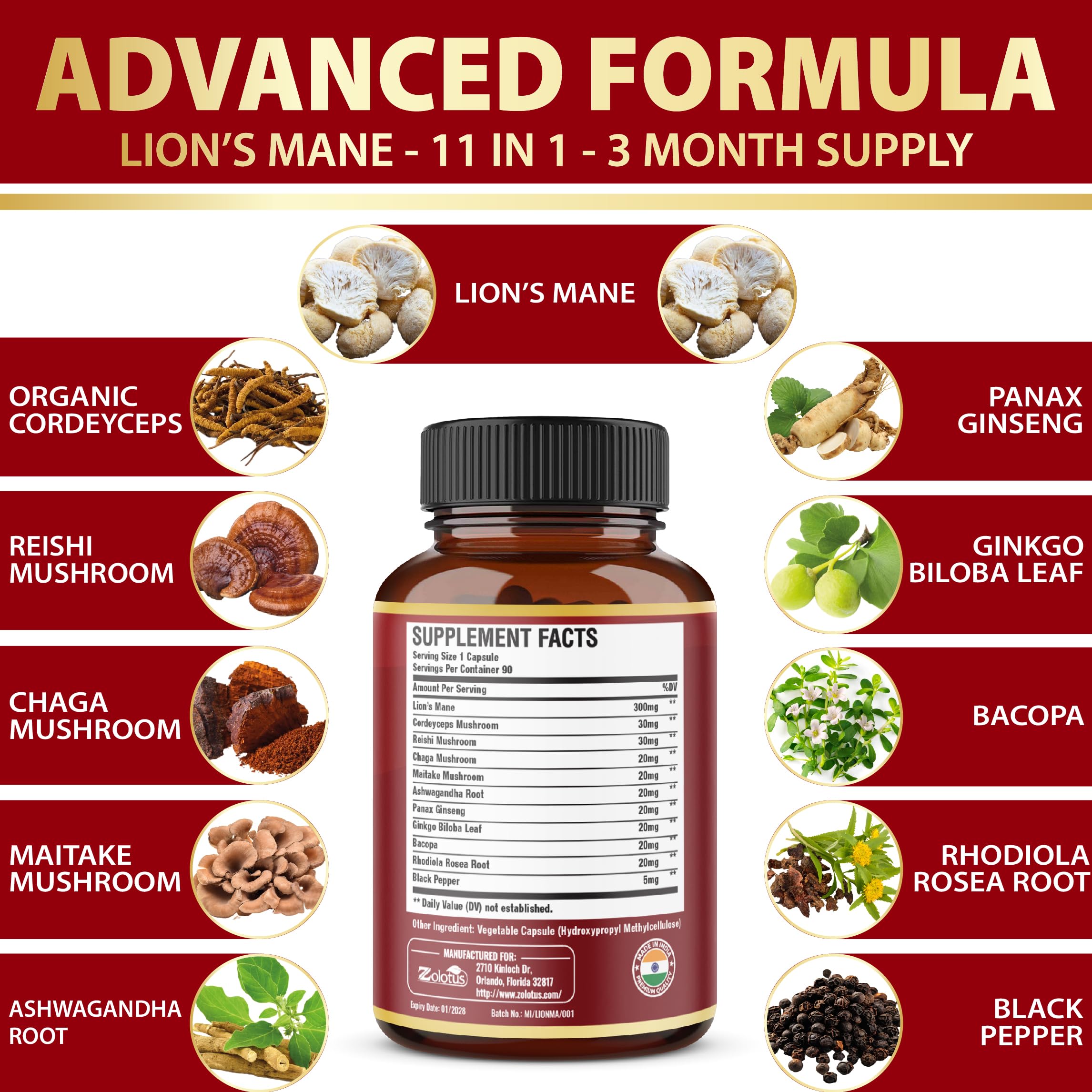 Zolotus – liste d’ingrédients incluant Cordyceps et Ganoderme lucidum utile pour énergie et concentration.