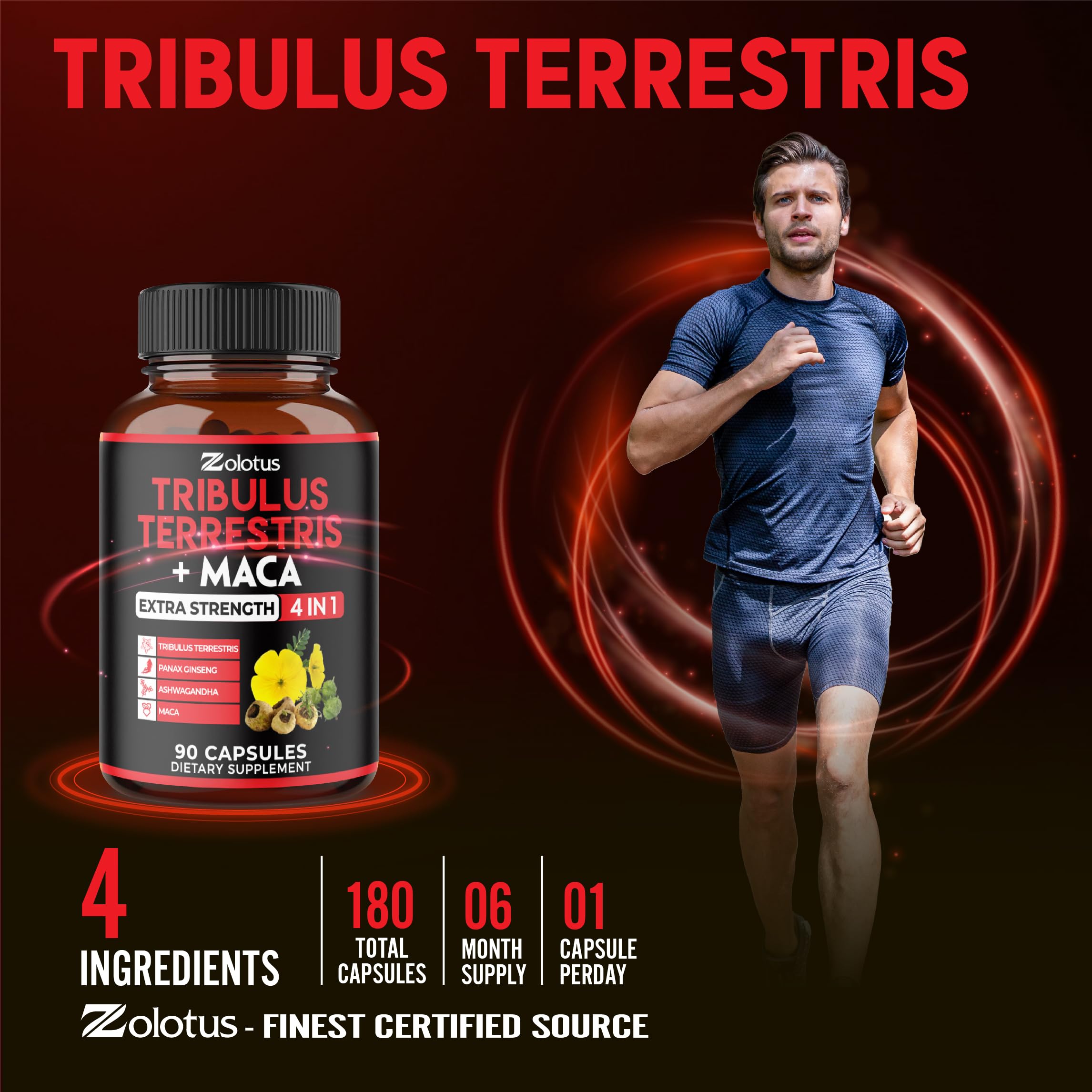 Ingrédients naturels Zolotus: Tribulus, Maca, Ashwagandha et Ginseng Panax.