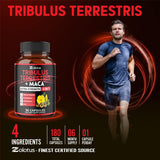 Ingrédients naturels Zolotus: Tribulus, Maca, Ashwagandha et Ginseng Panax.