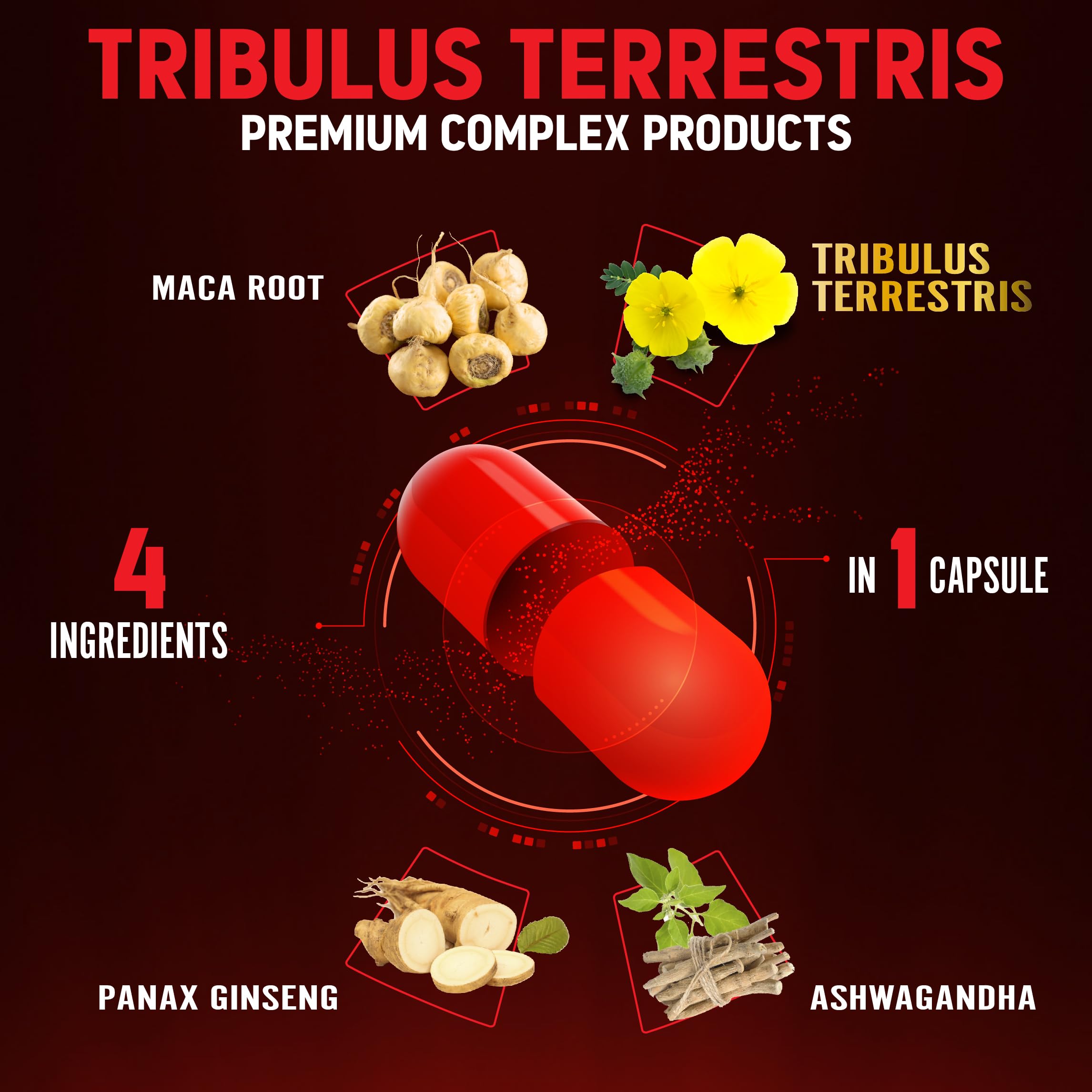 Zolotus Tribulus Maca, capsules et ingrédients, promesse de vitalité naturelle.
