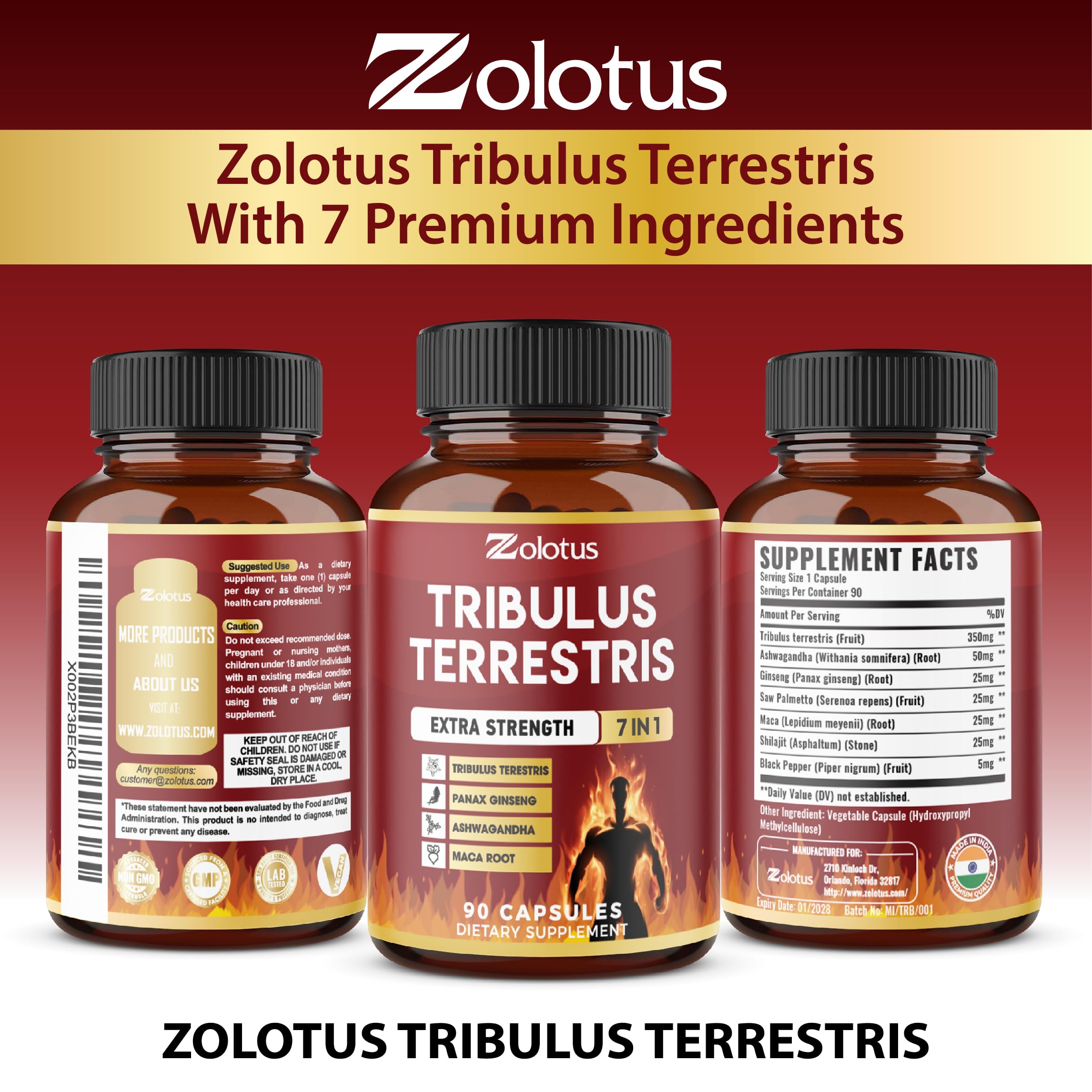Plan de routine quotidienne avec Zolotus, simplicité et commodité.