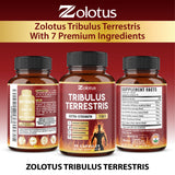 Plan de routine quotidienne avec Zolotus, simplicité et commodité.