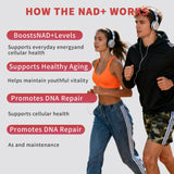 Zoone NAD Quercétine, soutien potentiel immunitaire et neuroprotection