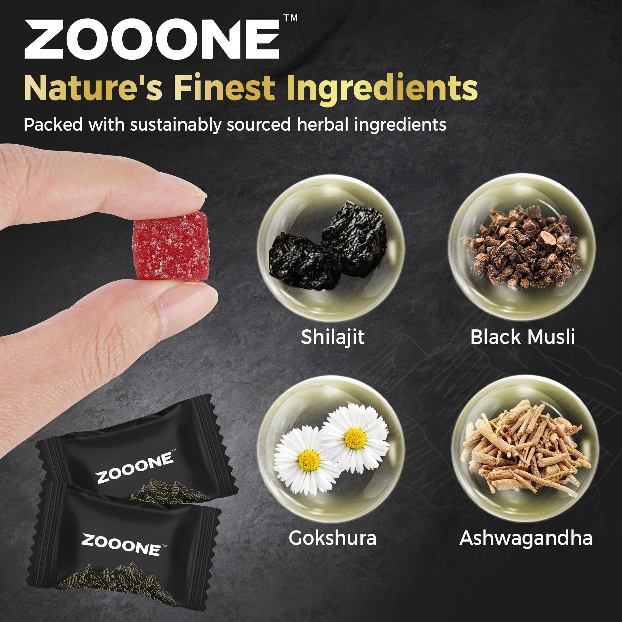 Boîte individuelle Zooone Shilajit, format voyage pratique pour rester actif au travail ou en déplacement.