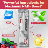 ZOOONE NAD+ Ingrédients clés riboside de nicotinamide pour l énergie.