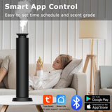 Fonctionnement ultra silencieux sous 25 dB pour une ambiance calme.